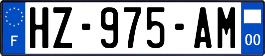 HZ-975-AM