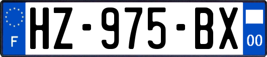 HZ-975-BX