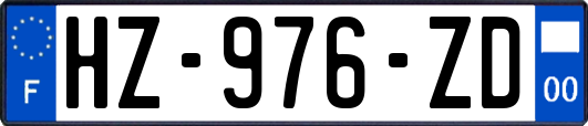 HZ-976-ZD