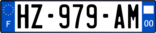 HZ-979-AM