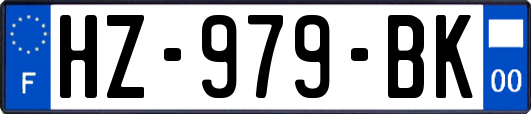 HZ-979-BK