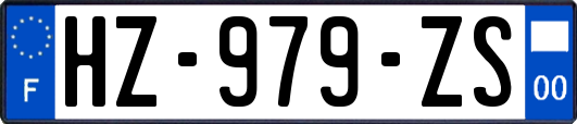 HZ-979-ZS