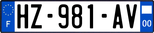 HZ-981-AV