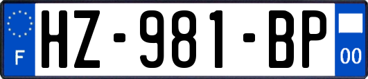HZ-981-BP