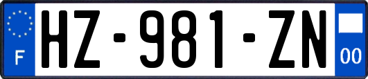 HZ-981-ZN