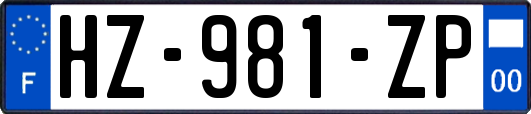 HZ-981-ZP