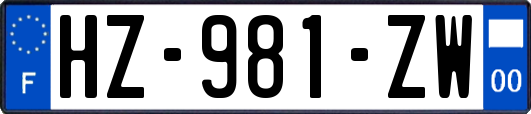 HZ-981-ZW