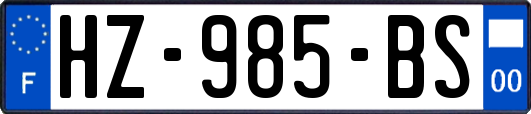 HZ-985-BS