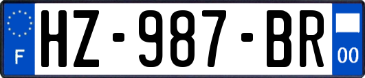HZ-987-BR