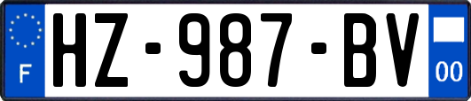 HZ-987-BV