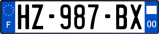 HZ-987-BX