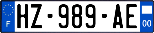 HZ-989-AE