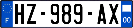 HZ-989-AX