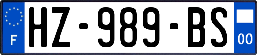 HZ-989-BS