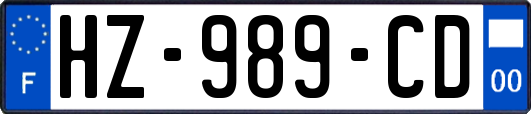 HZ-989-CD