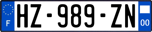 HZ-989-ZN