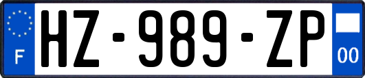 HZ-989-ZP