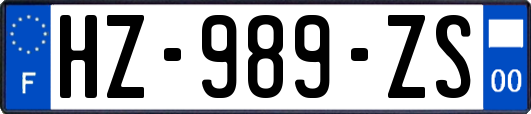 HZ-989-ZS