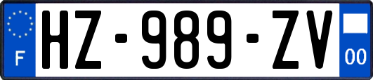 HZ-989-ZV