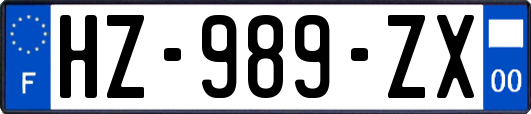 HZ-989-ZX