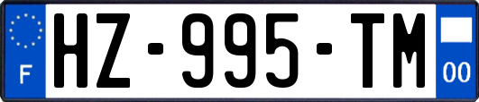 HZ-995-TM