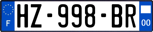 HZ-998-BR