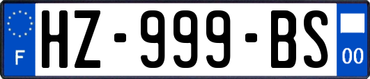 HZ-999-BS