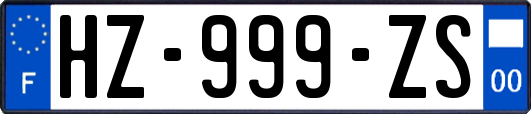 HZ-999-ZS