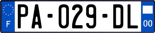 PA-029-DL