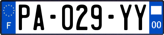 PA-029-YY