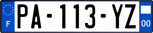 PA-113-YZ