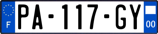 PA-117-GY