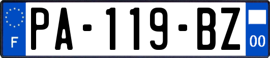 PA-119-BZ
