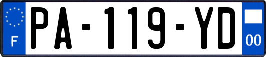 PA-119-YD