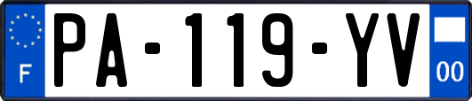 PA-119-YV