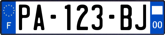 PA-123-BJ