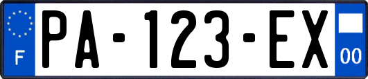 PA-123-EX
