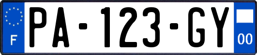 PA-123-GY