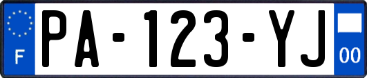 PA-123-YJ
