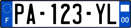 PA-123-YL