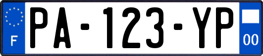PA-123-YP