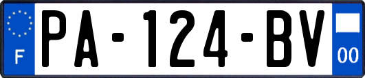 PA-124-BV