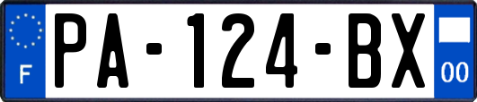 PA-124-BX
