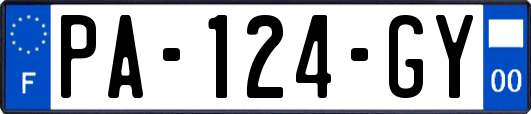 PA-124-GY