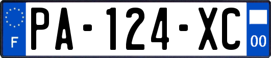 PA-124-XC