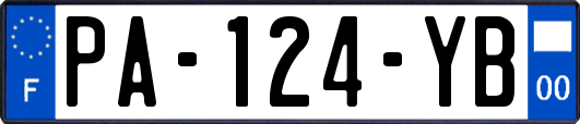 PA-124-YB