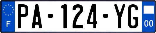 PA-124-YG