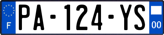 PA-124-YS