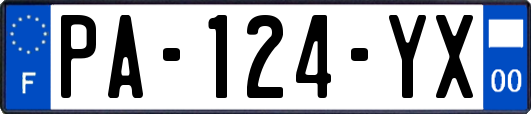 PA-124-YX