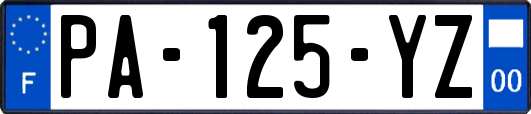 PA-125-YZ
